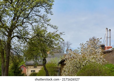 Backyard Of A Modern Country House, Fence. Tourism, Vacations, Home Office, Guest House, Real Estate Development, City Gardening, Lifestyle