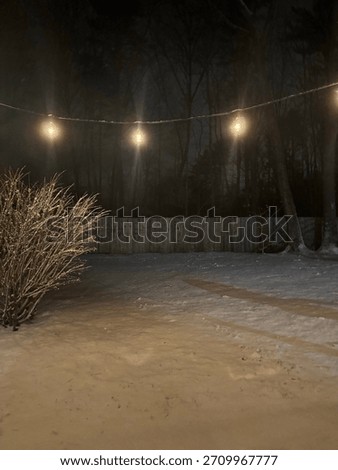 Backyard at Night with Snow and Warm String Lights