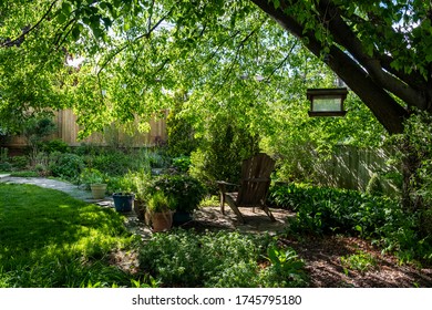 A Backyard Oasis With Plants, Trees And A Pond