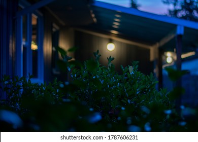 Backyard Patio Area At Dusk