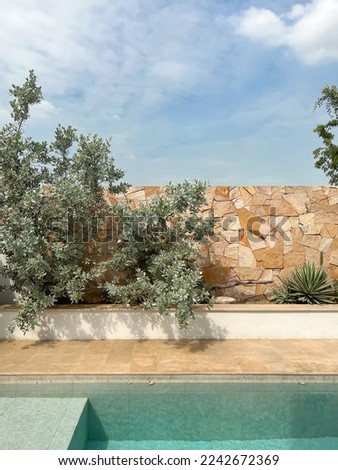Backyard pool area. Outdoor gardening decorative. Green Plants. Stone wall decoration. Backyard garden. Country home. House gardening. Chic style. Architecture design. Beach house. Swimming pool.