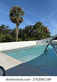 Backyard pool view with Pam tree