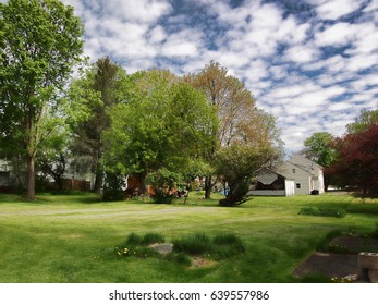 Backyard Of A Quaint Rural Town