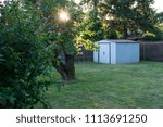 Backyard Shed at Sunset