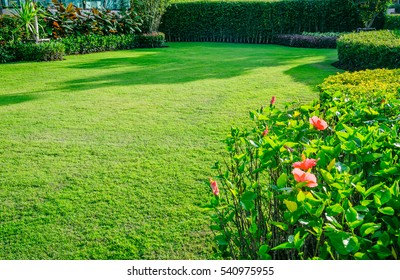 Backyard in spring, garden landscape design with tall and short shrubs and flowers has a beautiful rounded shape in the middle is a green grass, Newly cut lawn Lush green with morning sunlight.
