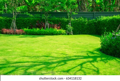 Backyard in spring, garden landscape design with tall and short shrubs and flowers has a beautiful rounded shape, green lawns and shrubs, shadows, trees, and morning sun, lawn care service. - Powered by Shutterstock