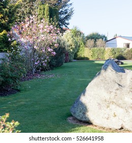 Backyard In Te Anau Town.