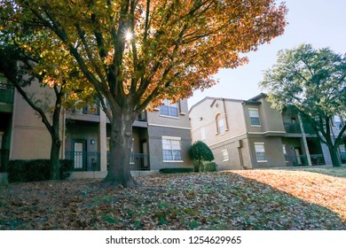 Backyard view of apartment complex at the end of fall season with thick carpet of ground dried leaves. Rental units near Dallas, Texas, USA