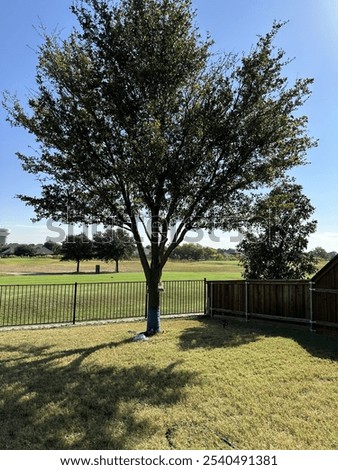 Backyard view overlooking 13th hole