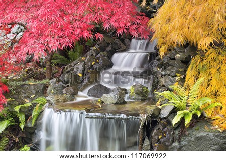 Backyard Waterfall with Japanese Maple Trees in Autumn Season