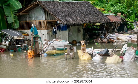 Baco, Oriental Mindoro, Philippines - July 23, 2021. A dog has found a safe place to sit in the deeply flooded yard of a small welding shop along the National Highway near Calapan City. 