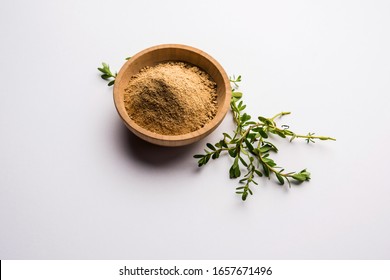 Bacopa Monnieri Herb Plant Or Ayurvedic  Brahmi Plant With Powder In A Bowl, Selective Focus