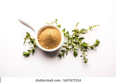 Bacopa monnieri herb plant or Ayurvedic  Brahmi plant with powder in a bowl, selective focus