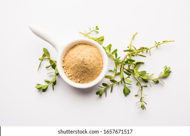 Bacopa Monnieri Herb Plant Or Ayurvedic  Brahmi Plant With Powder In A Bowl, Selective Focus