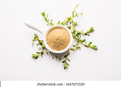 Bacopa monnieri herb plant or Ayurvedic  Brahmi plant with powder in a bowl, selective focus