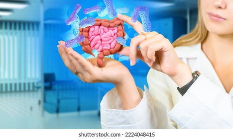 Bacteria around intestinal tract. Doctor womans with miniature intestines. Bacterial background of human intestine. Hands of doctor gastroenterologist. Concept of examination of digestive system
