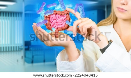 Bacteria around intestinal tract. Doctor womans with miniature intestines. Bacterial background of human intestine. Hands of doctor gastroenterologist. Concept of examination of digestive system
