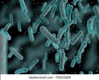Bacteria, Bacterial colony, Microbes, Salmonella Bacteria