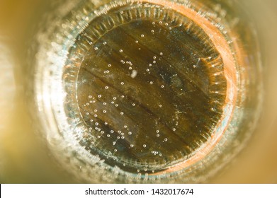 Colorful Bacteria High Res Stock Images Shutterstock