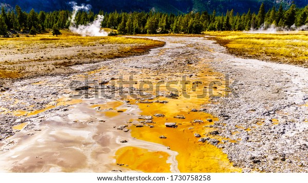 The Bacterial Mat\
in the drain channel of the Grand Geyser in the Upper Geyser Basin\
along the Continental Divide Trail in Yellowstone National Park,\
Wyoming, United States