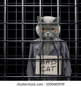 Cat In Prison Images, Stock Photos & Vectors | Shutterstock