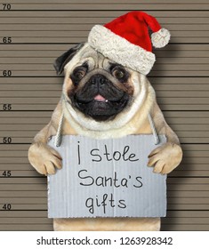 The Bad Dog In A Red Hat Stole Santa Claus Gifts For Christmas. He Is Arrested For It And Sent To Prison. Lineup Background.