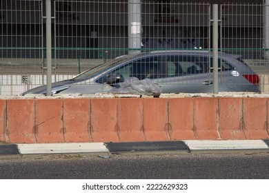 A Bad Of Garbage On The Median Strip Of The Road