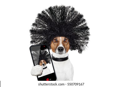 Bad Hair Day Dog Ready To Look Beautiful At The Wellness Spa Salon, Isolated On White Background, Taking Selfie With Smartphone Or Tablet