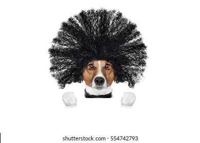 Bad Hair Day Dog Ready To Look Beautiful At The Wellness Spa Salon, Isolated On White Background, Behind White Banner Or Placard