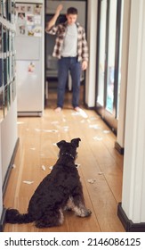 Too Bad For Him. Great For A Meme, Though. Shot Of A Man Looking At The Mess His Dog Made In The House.