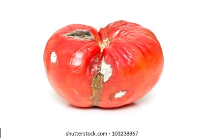 Bad Old Tomato