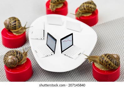 Bad Results In Business Meeting With Snails Around Table Using Computers