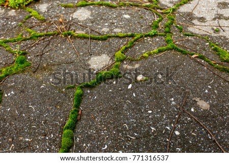 Similar – Image, Stock Photo green ways (1) Pave Furrow