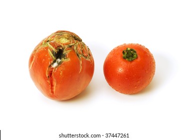 Bad Tomato With Scars Isolated On White