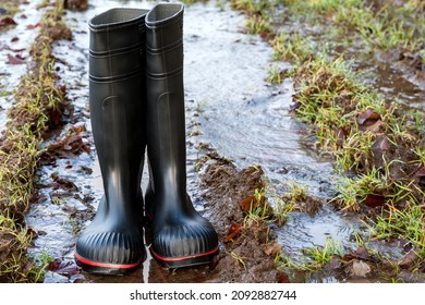14,784 Damp weather Images, Stock Photos & Vectors | Shutterstock