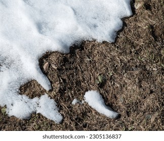 Bad wild muddy icy messy warm soft sun day hard rough cool chill rain water stalk life scene. Close up macro top rustic country view text space dark clay bog soil off yard trail track road way trace