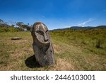 Bada Valley, Sulawesi, Indonesia - One of the mysterious ancient megaliths (carved standing stones) in the Bada Valley of Central Sulawesi.