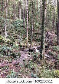 Baden Powell Trail In Deep Cove, B.C. Canada