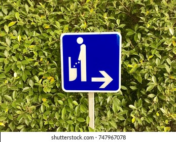 Badge Sign Toilet Mens Urine Green Stock Photo 747967078 | Shutterstock