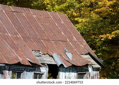 A Badly Damaged Old Shack