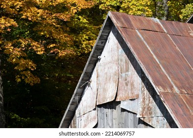 A Badly Damaged Old Shack