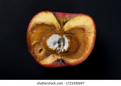 Badly Shrinked Apple With Moldy Core On Black Background