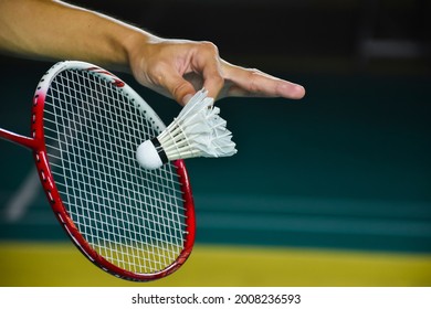 Badminton racket and old white shuttlecock holding in hands of player while serving it over the net ahead, blur badminton court background and selective focus on racket.