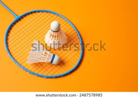 Badminton racket and white badminton shuttlecocks on color background 