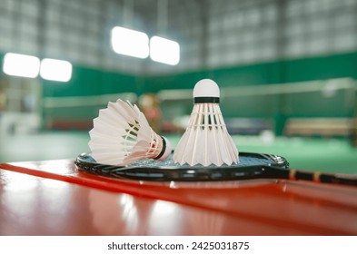 Badminton rackets and white cream badminton shuttlecocks after playing or after games on green floor in indoor badminton court  soft focus  concept for badminton lovers around the world.