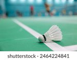 Badminton shuttlecock landed unsighted judge on floor edge court line decision incorrection in or out challenged problem concept