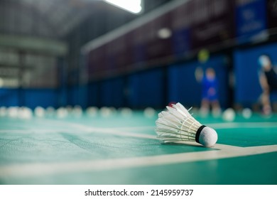 Badminton shuttlecock on a green floor 