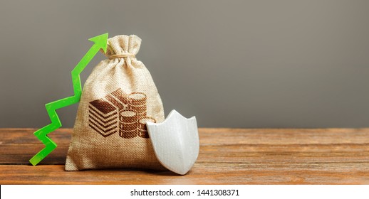 Bag with cash money symbol, a green arrow up and shield. Client rights protection. safeguarded capital. Concept of protection of money, guaranteed deposits. Increasing the safety of savings