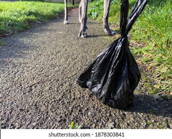 bag of dog poo mess dog poo bin, dog toilet feaces excrement in black poo bag with legs behind and copy space 
