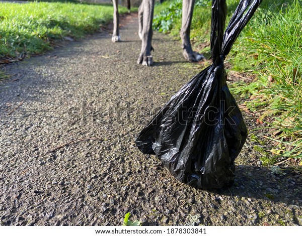 bag of dog poo\
mess dog poo bin, dog toilet feaces excrement in black poo bag with\
legs behind and copy space 